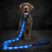 Domagiker Light Up Dog Leash, 5 Ft LED Dog Lead Rechargeable Glowing Pet Leash with Soft Padded Handle, Safety Dog Lights for Night Walking (Blue)