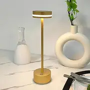 Shenzhi Tech Modern LED Table Lamp, USB Rechargeable Desk Lamp, Touch Controlled Dimmable Indoor Night Light for Home Decor Bedside Room (Gold)