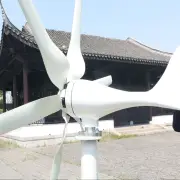800W 48V Wind turbine with 6 blades and free 48V MPPT controller small wind turbine for home use