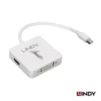 在飛比找蝦皮購物優惠-LINDY林帝 主動式Mini DisplayPort 1.
