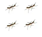 One dozen (12) Orange Chernobyl Ant size 10 fishing flies