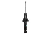 Shock absorber BILSTEIN 19-290959 (for: Honda)