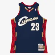LeBron James Cleveland Cavaliers 2008-09 Mitchell & Ness Authentic Road Jersey