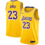 Los Angeles Lakers Nike Icon Swingman Jersey - LeBron James - Youth (SIZE: L)