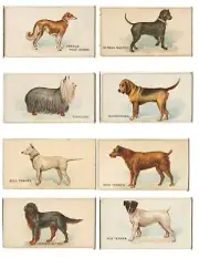 32 Piece Vintage Style DOG Theme Cigarette Cards EPHEMERA Lot for Junk Journal