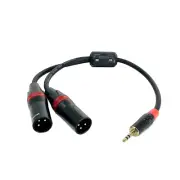 3.5Mm TRS Stereo to Dual XLR Male Y-Splitter Cable R7Cxx (12 Inch)