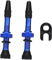 Alipis 1Pair Bicycle Tubeless Valves Vacuum Nozzle with Core Durable and Corrosion Resistant for Road and Mountain Bikes