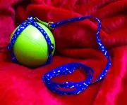 Choke Free Nylon Adjustable Harness & 47”Leash for Walking For Small Cat Or Dog