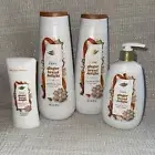 4 DOVE Gingerbread Delight Holiday Body Wash, Hand Soap & Antiperspirant