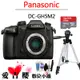 PANASONIC 國際牌 GH5II GH5M2 GH5 II 單機身 BODY 公司貨 送清潔組、行李箱 登錄送