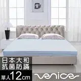 在飛比找遠傳friDay購物優惠-Venice 日本防蹣抗菌12cm記憶床墊-單人3尺(贈收納