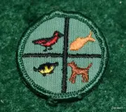 GIRL SCOUT BADGE - PETS - CHEESECLOTH BACK - FREE SHIPPING