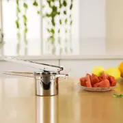 Citrus Squeezer Citrus Press Manual Lemon Juicer Lemon Press