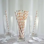 200 pcs 8" White and Rose Gold Biodegradable Striped Paper Straws Wedding Party