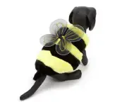 Dog Halloween Costume Bumble Bee new in package Pet