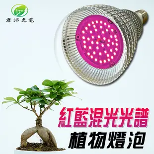 君沛 植物燈 15瓦 紅藍混光燈泡 E27植物燈泡 多肉植物燈 觀葉植物燈 塊根植物燈 (9.5折)
