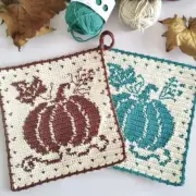 Tapestry Crochet Pumpkin Potholder Kit Pattern & 3 Skeins Cotton Sprout Yarn NEW