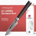 Paring Knife 67 Layers Damascus Steel Wood Handle Hammered Peeling Fruit Slicing