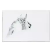 Empire Art Direct Blanco Mare Horse Frameless Free Floating Tempered Glass Pa...