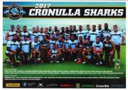 Nrl rugby team photo ,Cronulla sharks