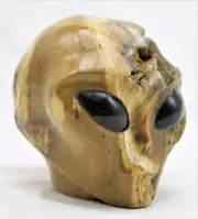 XL Unique PETRIFIED WOOD Carved ALIEN Head with LABRADORITE Gemstone Eyes