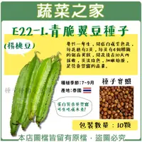 在飛比找蝦皮購物優惠-【蔬菜之家滿額免運】E22-1青脆翼豆種子10顆(楊桃豆) 