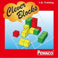 在飛比找蝦皮購物優惠-德國 PEWACO 聰明積木 Clever Blocks (