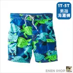 OSHKOSH BGOSH 繽紛海龜款泳褲/海灘褲 #156454｜24M 快速出貨+滿額折扣《EN》零碼出清