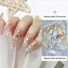 1 Box Nail Shell Piece Irregular Shape Diy Natural Shell Fragments Nail Jewelry