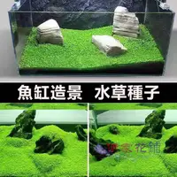 在飛比找蝦皮購物優惠-速成水草種子 魚缸造景 水草種子 植物 水草種子爬地矮珍珠 