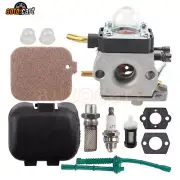 NEW For STIHL Carburetor BG55 BG65 BG85 SH55 SH85 (Pre-2001) 42291200604 C1Q-S55