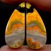 12.90 Cts Natural Bumble Bee Jasper 08X21 mm Cabochon Pair For Earring Gemstone