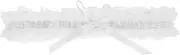 [Ipetboom] Bow Belts for Women Garters for Women Wedding Legs Bridal Leg Rings Wedding Bridal Legs Leg Garters for Leg Thing for Wedding Lace White