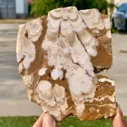 223GNatural Cherry blossom agate Crystal Rough slices stone specimens