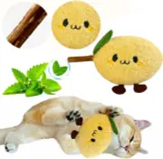 Durable and Lnteractive Cat Teething Stick Toys: Chewing Stick, Grinding Teeth R
