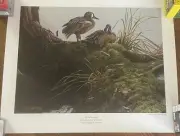 Ducks Unlimited 2007 Kentucky Sponsor Print “Spring Preening” C. Walden
