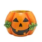 Pumpkins Head Flower Succulents Planter Pots Small Container for Garden