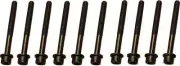 Engine Cylinder Head Bolt Set CRP 81043000