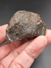 Tindouf Meteorite Chondrite NWA 869 - 82,14g / 4,6cm Algeria Nice fusion crust