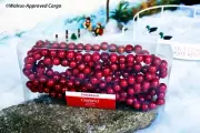 CRATE & BARREL WOODEN BALL GARLAND -NIB- DON’T GET STRANDED WITH BLAH DÉCOR!