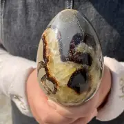 1.71LB Natural Dragon Septarian Quartz Egg Cluster Crystal Healing G5159