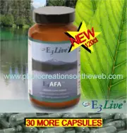 E3LIVE IMPROVES:MEMORY-ATTENTION DEFICIT DISORDER- For All AGES/GENDERS-
