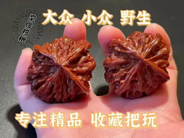 文玩核桃獅子頭的比價推薦- 2026年07月|飛比價格