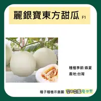 在飛比找蝦皮購物優惠-【台灣出貨 電子發票】麗銀寶東方甜瓜種子 5顆 F1 菜籽 