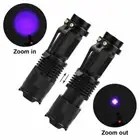 UV Flashlight Torch Zoom Function Black Light Stains Detector Scorpion Hunting
