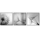NNEDSZ Wall Art 60cmx60cm Botanical dandelions 3 Sets Black Frame Canvas