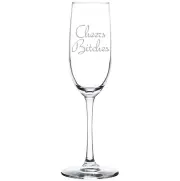 Champagne Sparkling Wine Flute Glass Stemmed Or Stemless Cheers Bitches