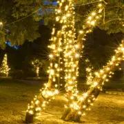 50 Warm White Christmas Mini Lights, 6" Spacing Green Wire Tree Party Patio XMas