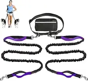 Hands Free Dog Leash with Zipper Pouch, Dual Padded Handles Running Leash, Dual Handle and Retractable Bungee for Medium and Large Dog Training Walking Running (Purple,Double Rope)