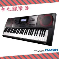 在飛比找Yahoo!奇摩拍賣優惠-《白毛猴樂器》CASIO 卡西歐 CT-X5000 電子琴 